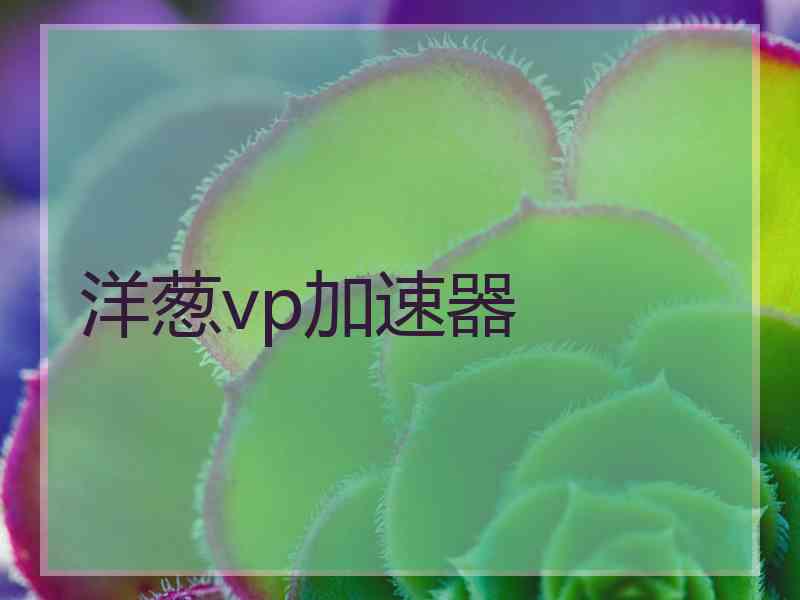 洋葱vp加速器