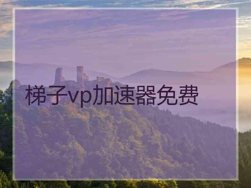 梯子vp加速器免费