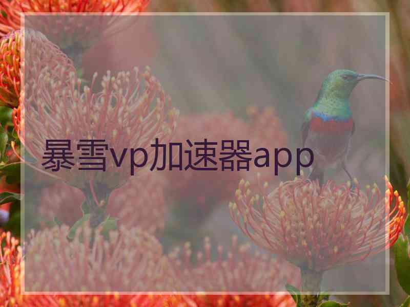 暴雪vp加速器app