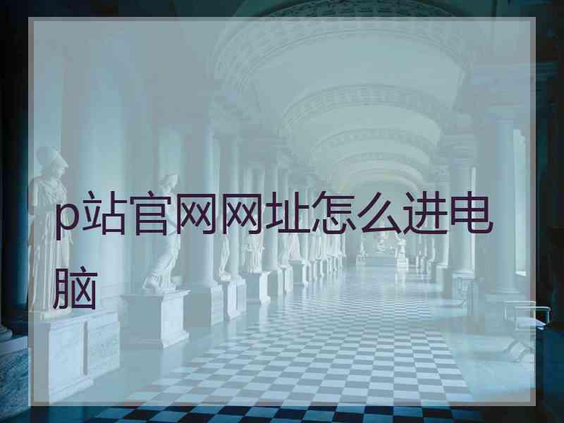 p站官网网址怎么进电脑