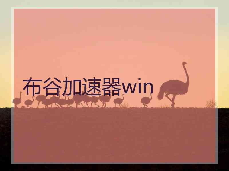 布谷加速器win