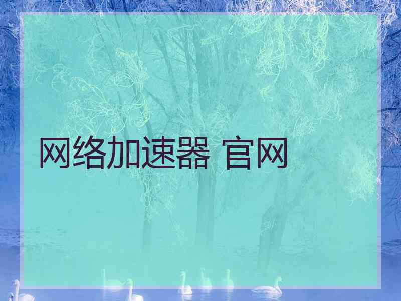 网络加速器 官网