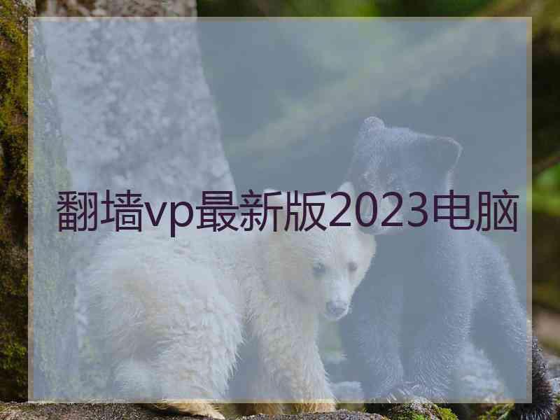 翻墙vp最新版2023电脑