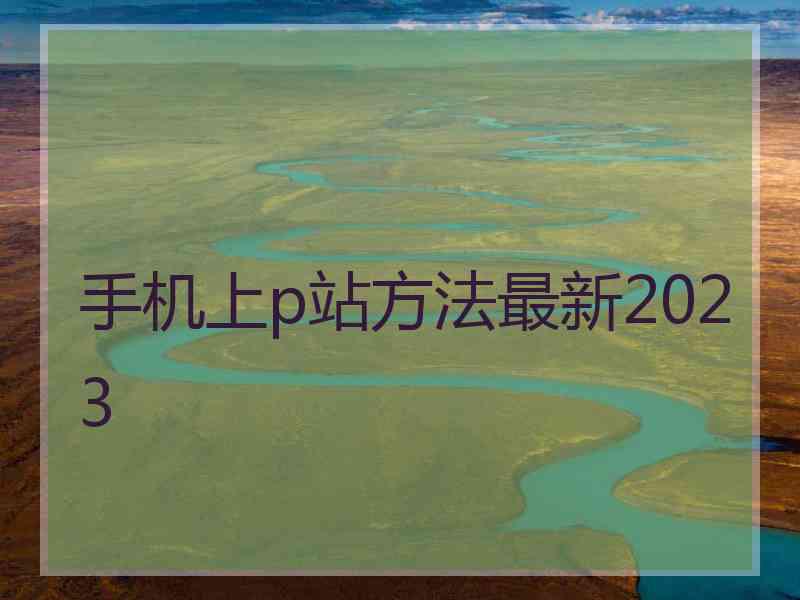 手机上p站方法最新2023