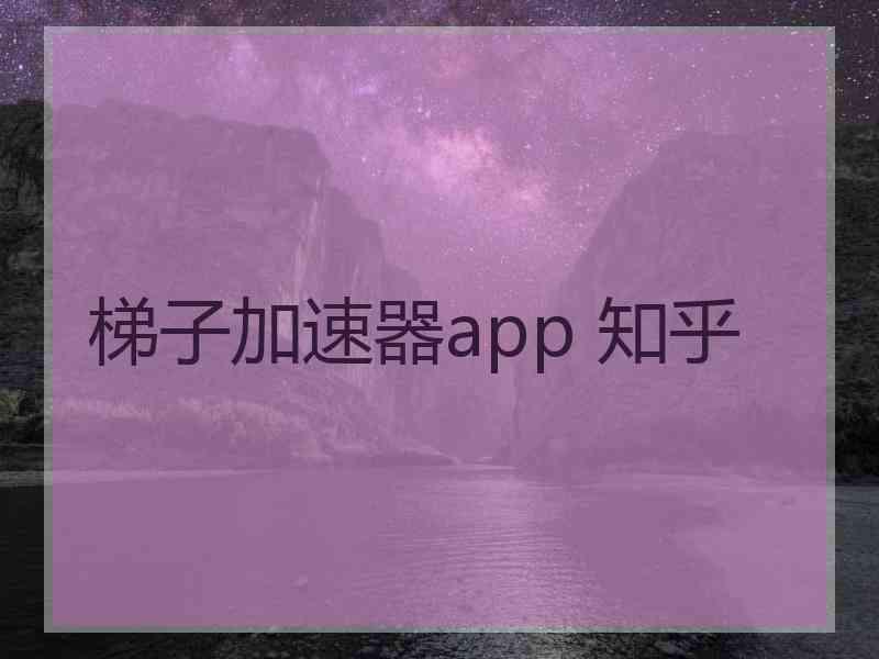 梯子加速器app 知乎