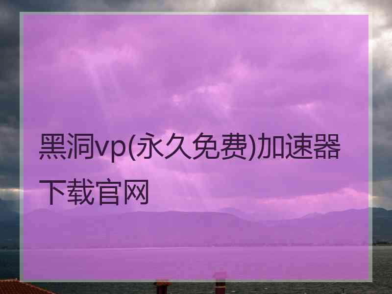 黑洞vp(永久免费)加速器下载官网