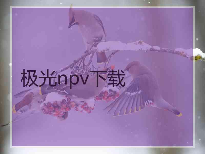 极光npv下载