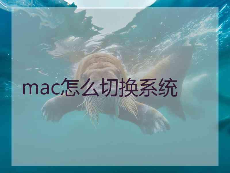 mac怎么切换系统