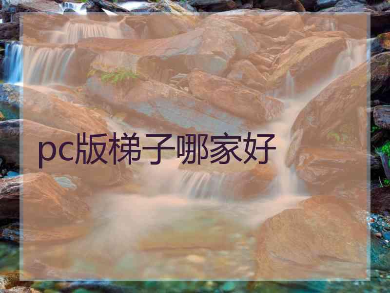 pc版梯子哪家好