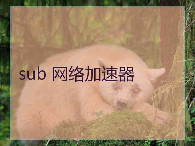 sub 网络加速器