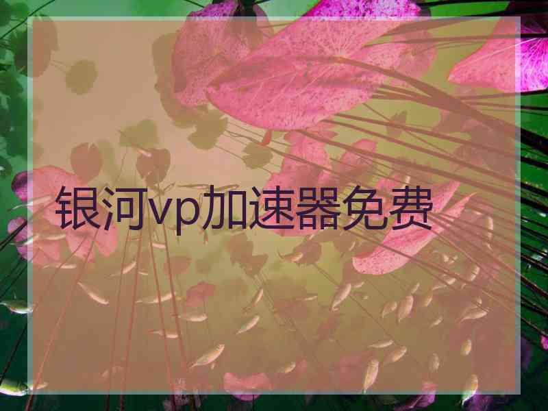 银河vp加速器免费