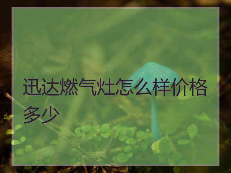 迅达燃气灶怎么样价格多少