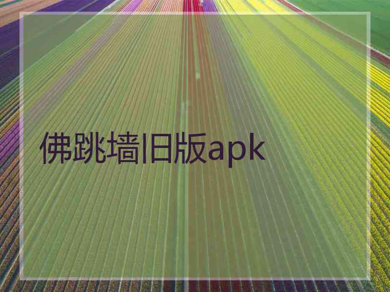 佛跳墙旧版apk