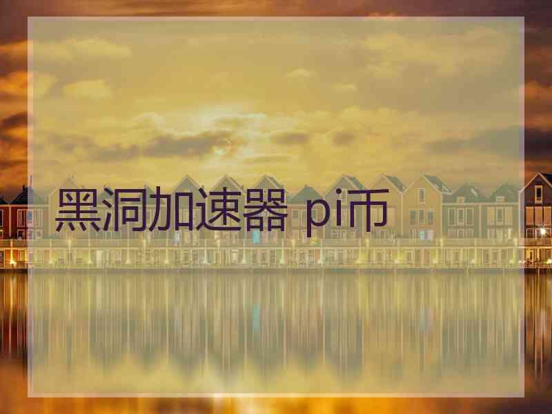 黑洞加速器 pi币