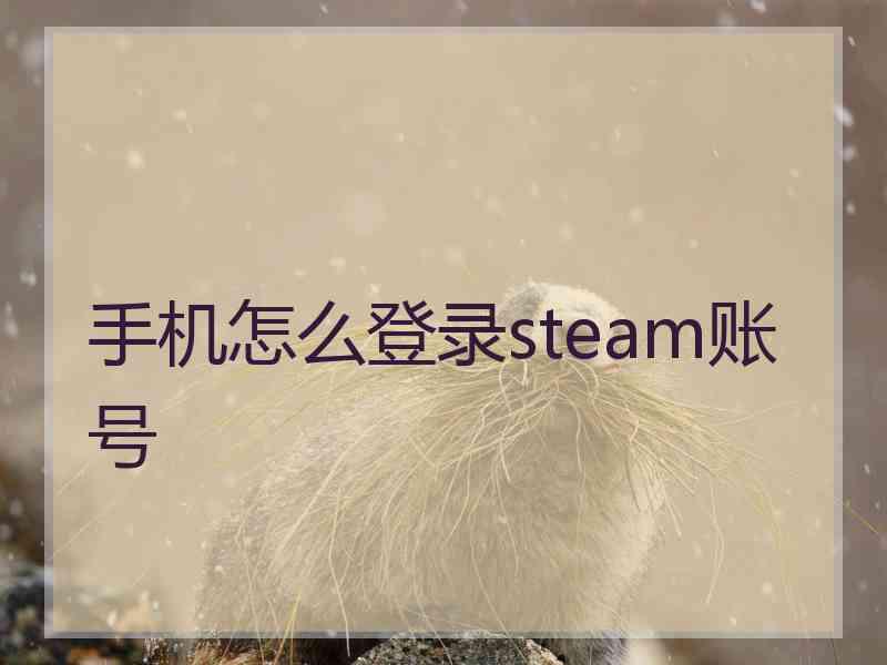 手机怎么登录steam账号