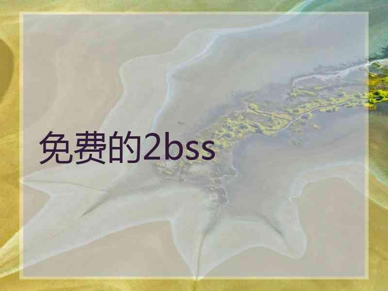 免费的2bss