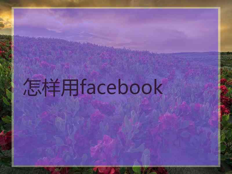 怎样用facebook