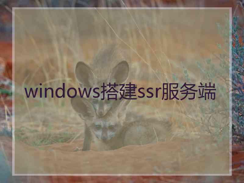 windows搭建ssr服务端