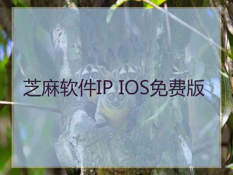 芝麻软件IP IOS免费版