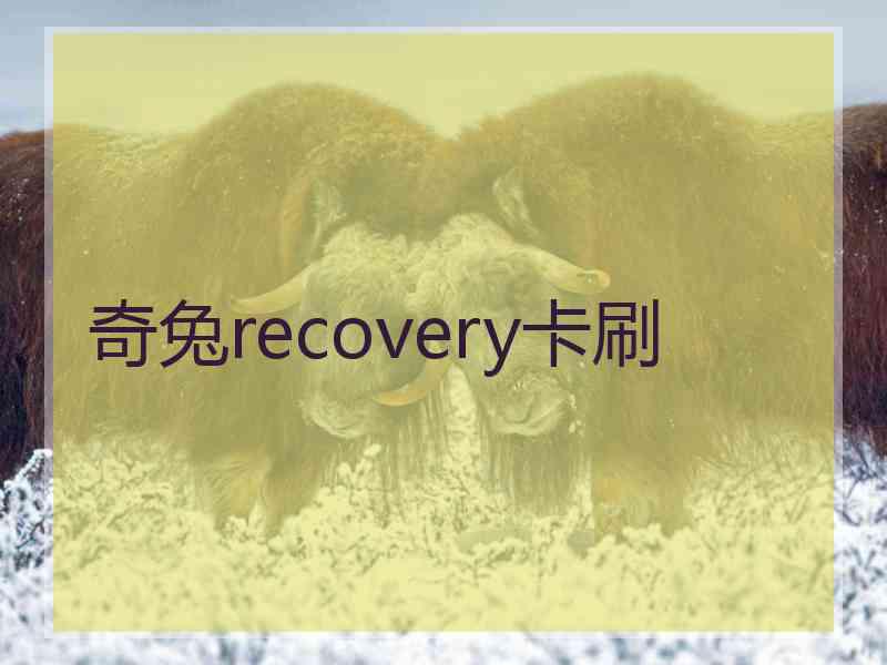 奇兔recovery卡刷