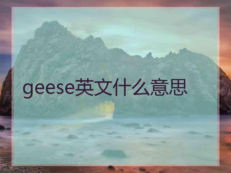 geese英文什么意思