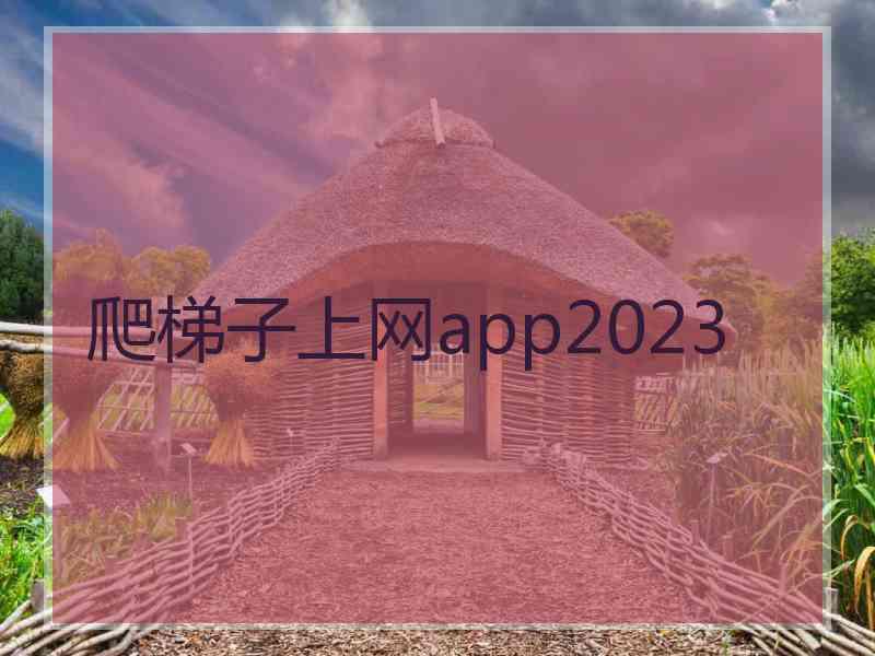 爬梯子上网app2023