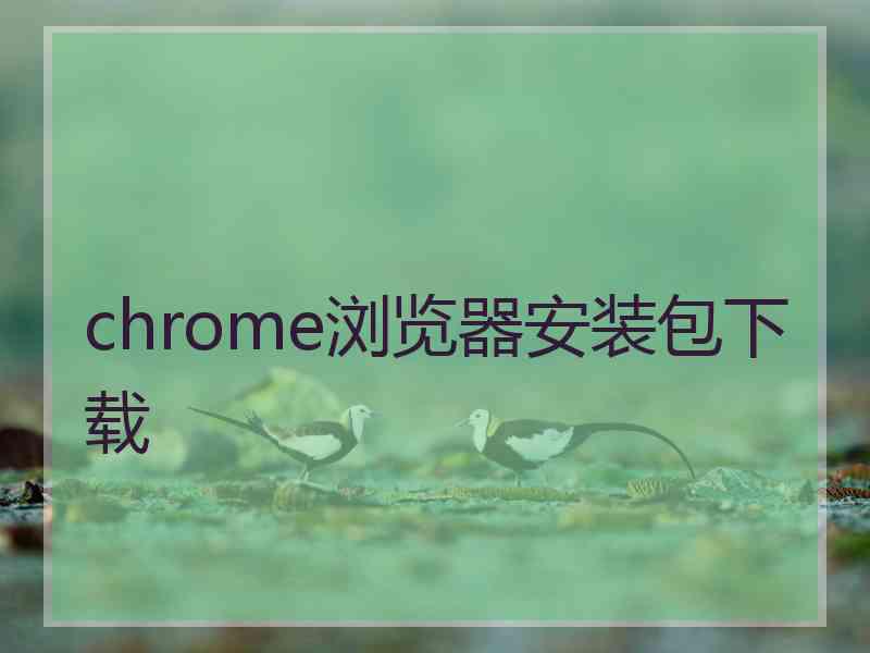 chrome浏览器安装包下载