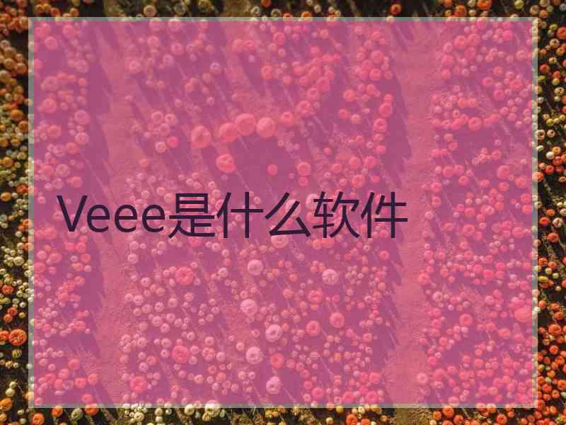 Veee是什么软件