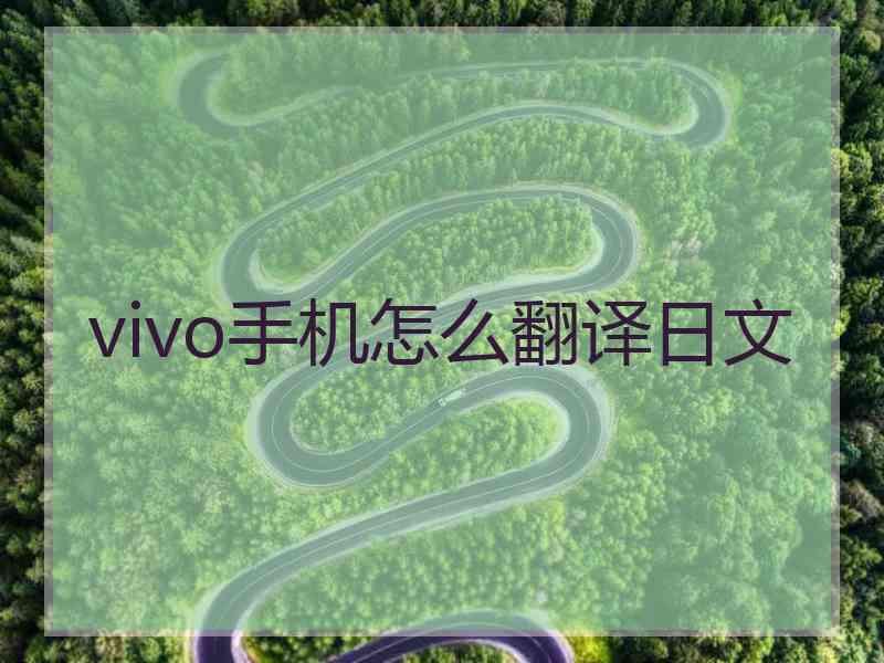 vivo手机怎么翻译日文