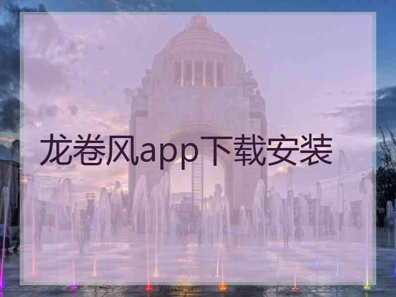 龙卷风app下载安装