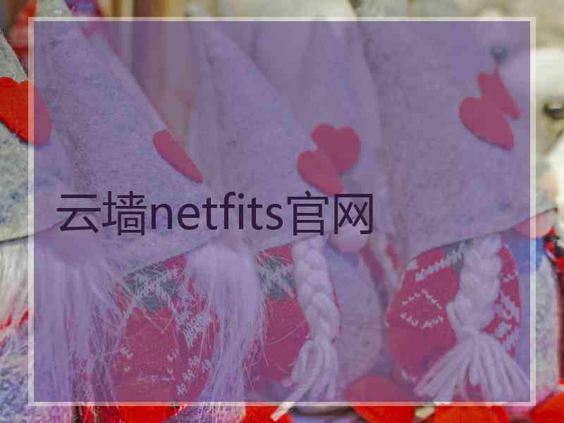 云墙netfits官网