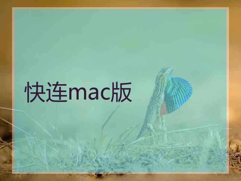 快连mac版