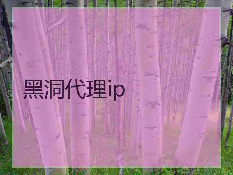 黑洞代理ip