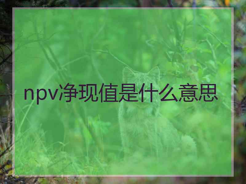 npv净现值是什么意思