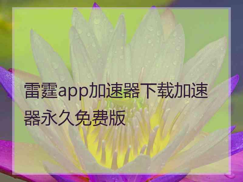 雷霆app加速器下载加速器永久免费版