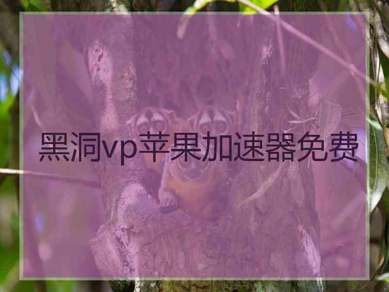 黑洞vp苹果加速器免费