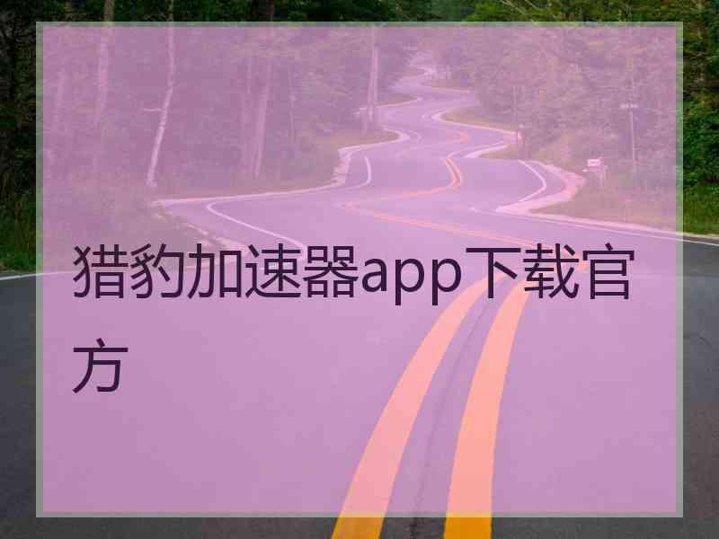 猎豹加速器app下载官方