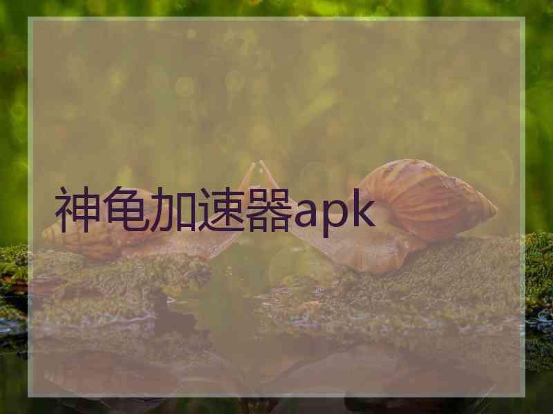 神龟加速器apk