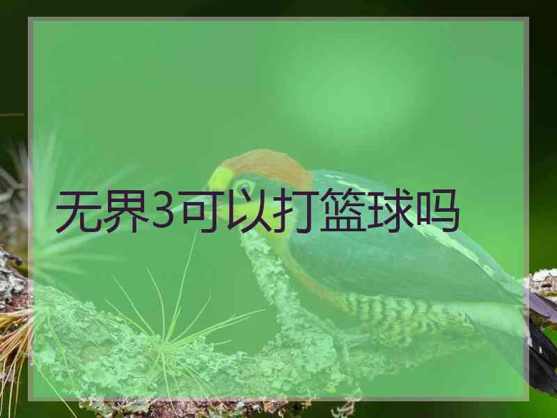 无界3可以打篮球吗