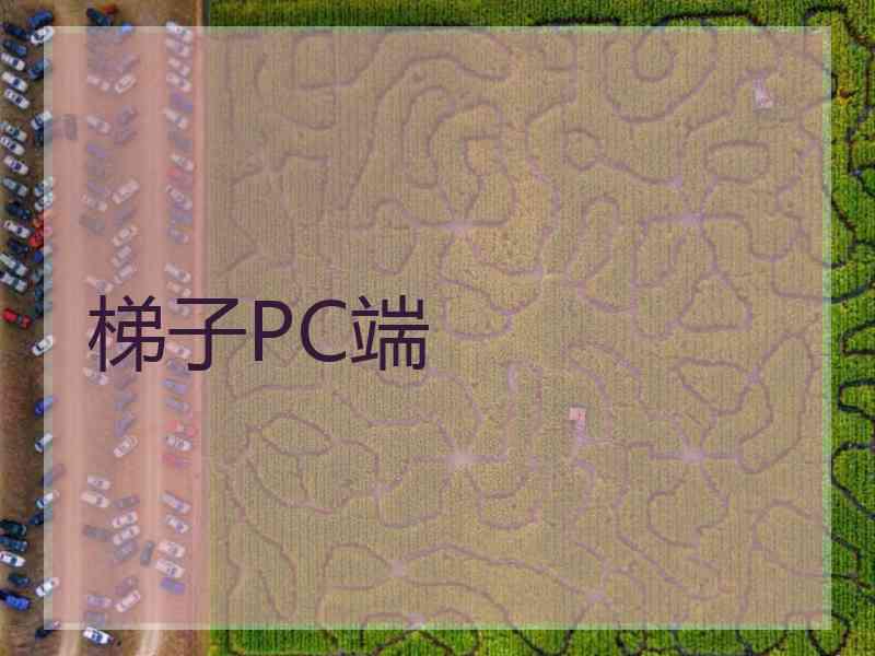 梯子PC端