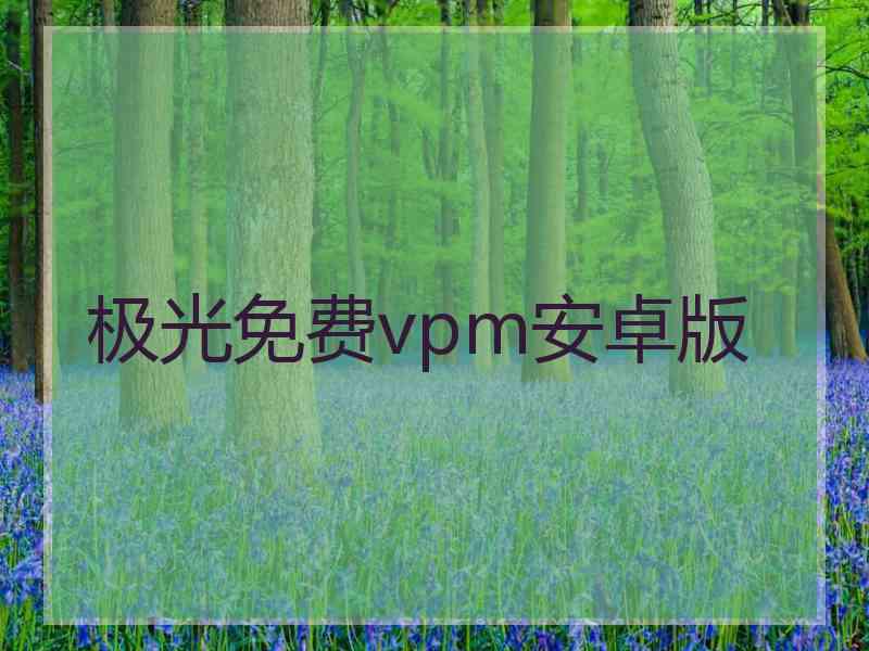 极光免费vpm安卓版