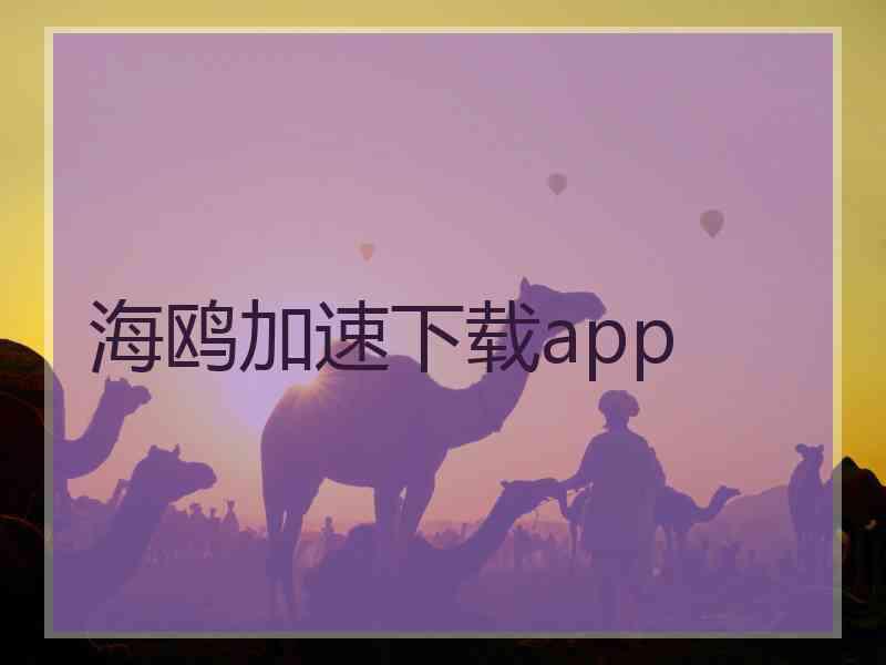 海鸥加速下载app