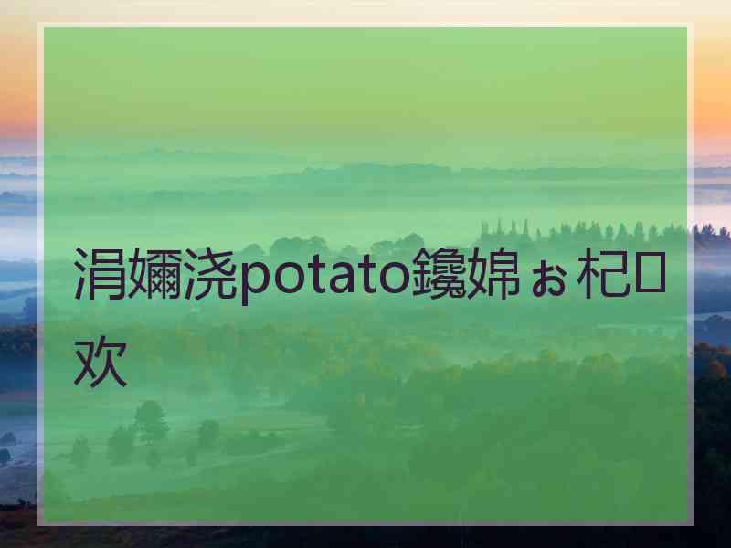 涓嬭浇potato鑱婂ぉ杞欢