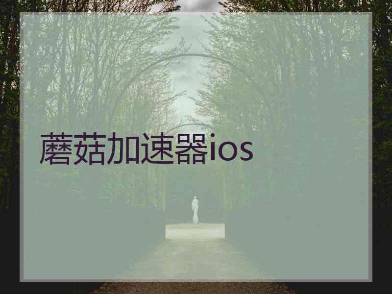 蘑菇加速器ios