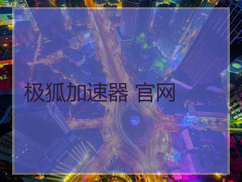 极狐加速器 官网