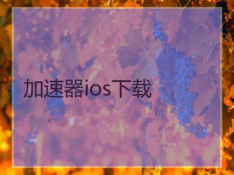 加速器ios下载