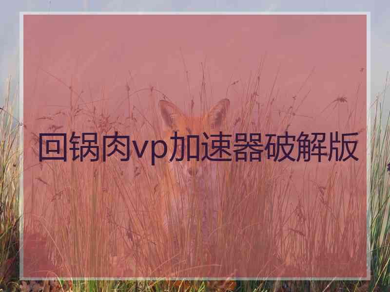 回锅肉vp加速器破解版