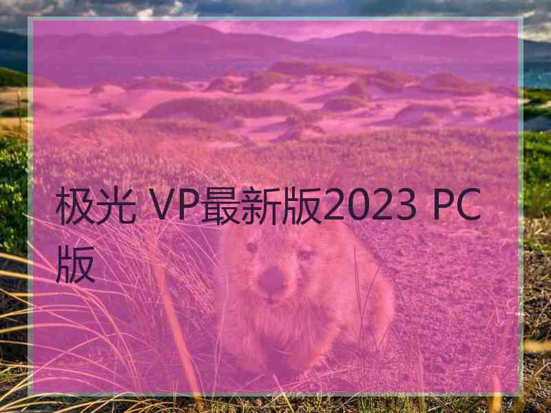 极光 VP最新版2023 PC版