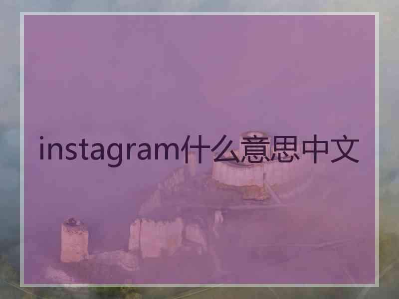 instagram什么意思中文