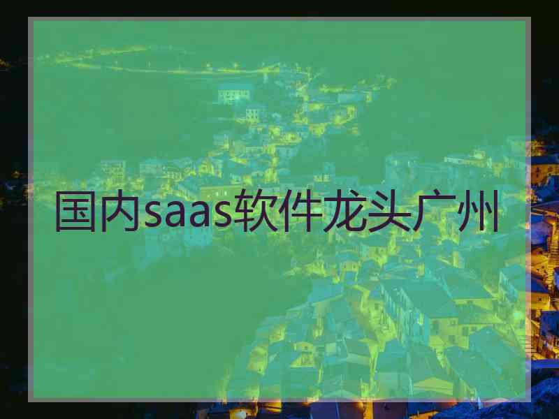 国内saas软件龙头广州